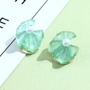 925 Silver Needle Colorful Resin Transparent Earrings
