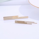 925 Silver Needle Straight Earrings