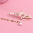 مقاطع الشعر الصبار