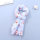 Elegant Flower Pattern Spring and Autumn Scarf(Pink Blue)