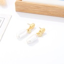 Baroque Retro Earrings