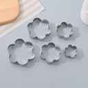 5 Pcs Flower Shape Stainless Steel Biscuit Cutters