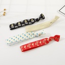 Pineapple Ribbon Hair Ties Set