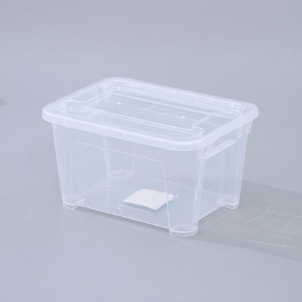 Clear Plastic Storage Box with Lid – Small
