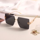 Rimless Metallic Sunglasses (Golden Frame Black Lens)