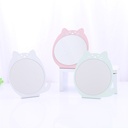 Mirror with Iron Backing Plate (T31)