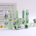 Cactus Panda Dust Catcher Set (3 pieces)