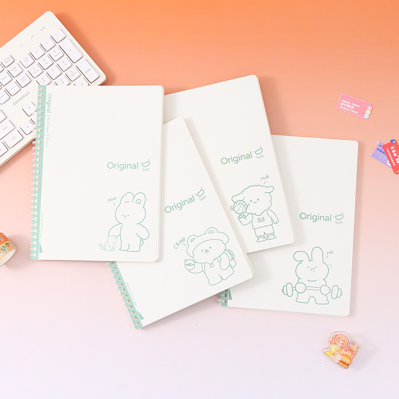 B5-80 flexible coil book (small white play book)