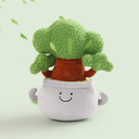 25CM pine pot