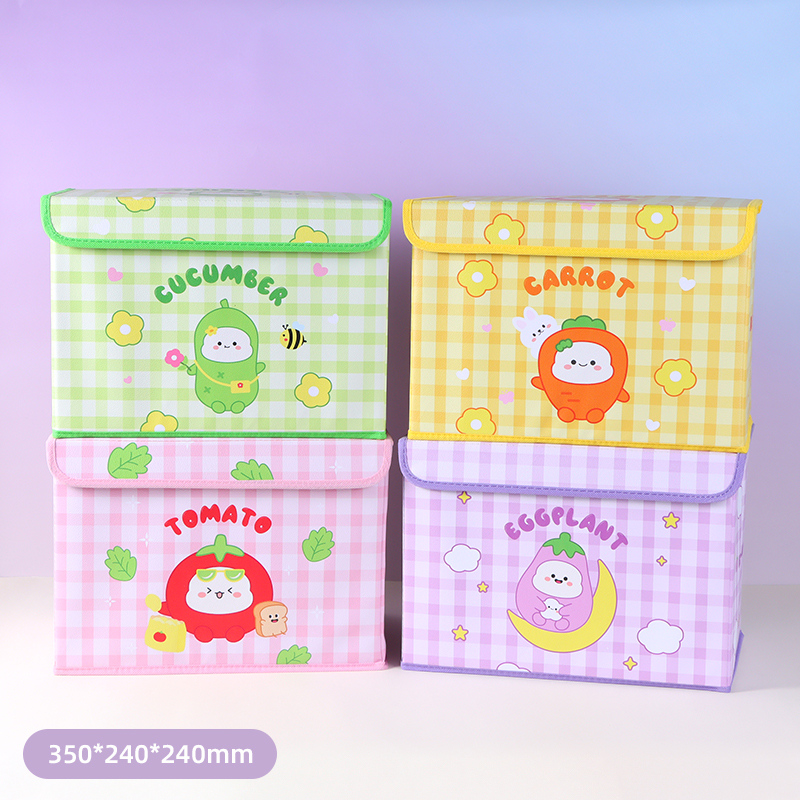 منظم تخزين كبير من البولي يوريثان من V Family مع غطاء