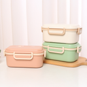 Fresh and stylish Double-decker Lunch Box (1L)
