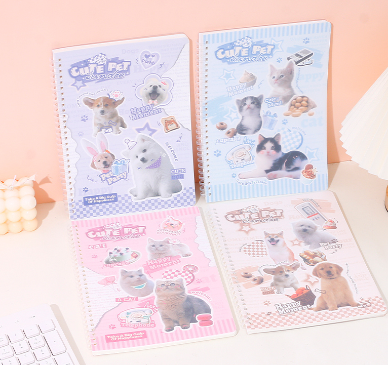 B564 coil book (pet INS Paradise) cross line