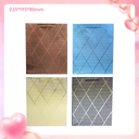 Solid Color Series 2 Gift Bag (L)