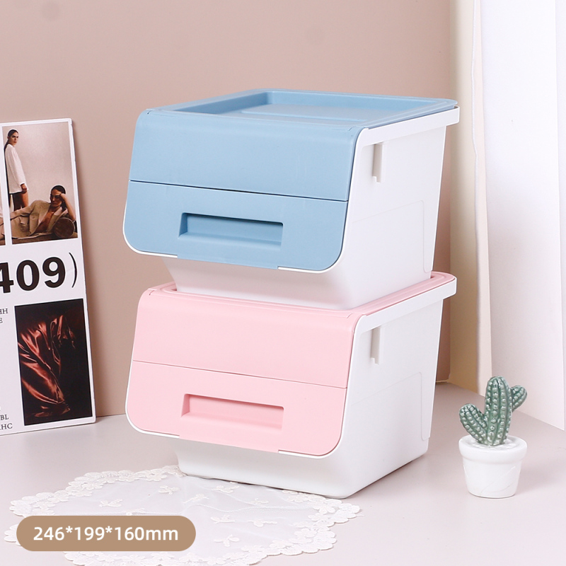 Small Plastic Storage Box with Lid