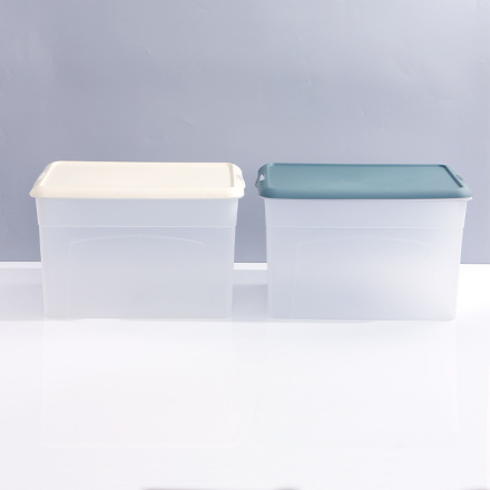 Large Dull Polish Plastic Storage Bin