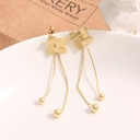 Stylish Long Geometric Earrings
