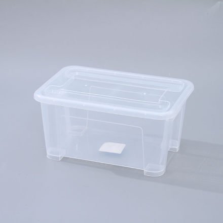 Clear Plastic Storage Box with Lid – Large