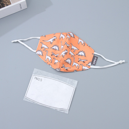 Dinosaur  Print Cloth Mask for Children（Orange)