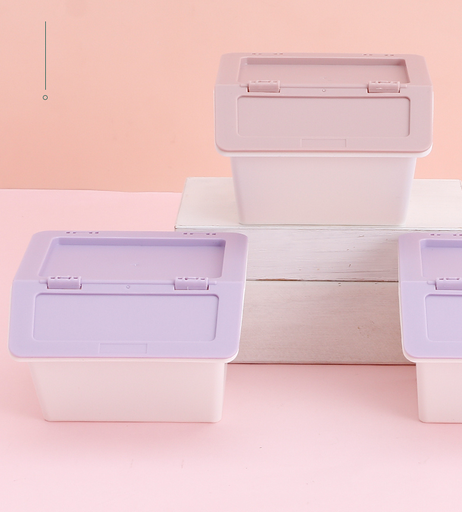 Mini Plastic Storage Box with Lid